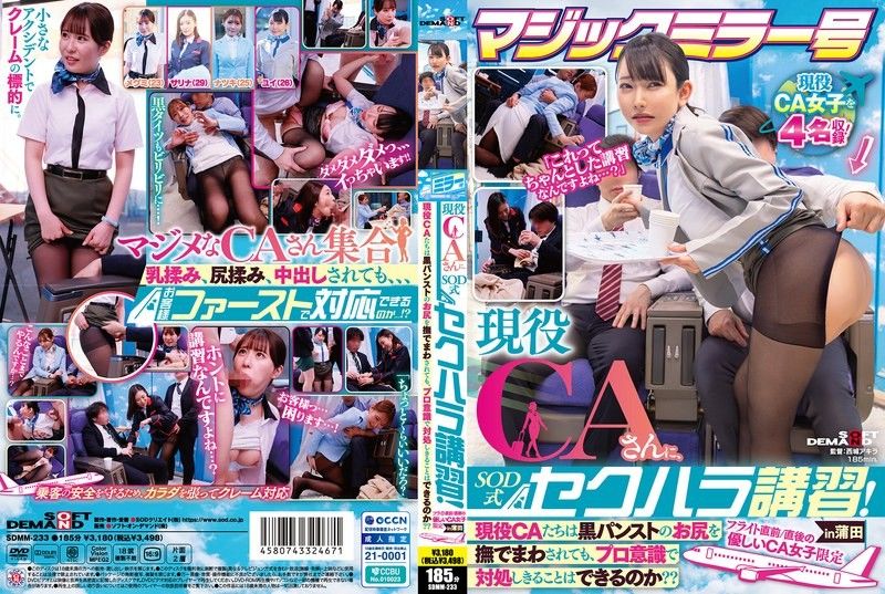 Magic Mirror Van: SOD-style Sexual Harassment Training for Active Cabin Attendants! Can active cabin attendants,even when their black-pantyhosed buttocks are groped,handle it completely with professionalism?? Only for kind female CAs just before/after flights in Kamata